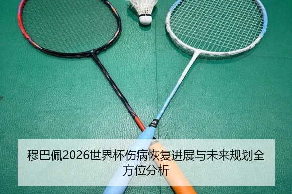 mu-ba-pei-shi-jie-bei-shang-bing-hui-fu-jin-zhan-yu-wei-lai-gui-hua-quan-fang-wei-fen-xi-2-178.jpg
