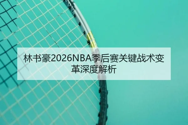 林书豪2026NBA季后赛关键战术变革深度解析