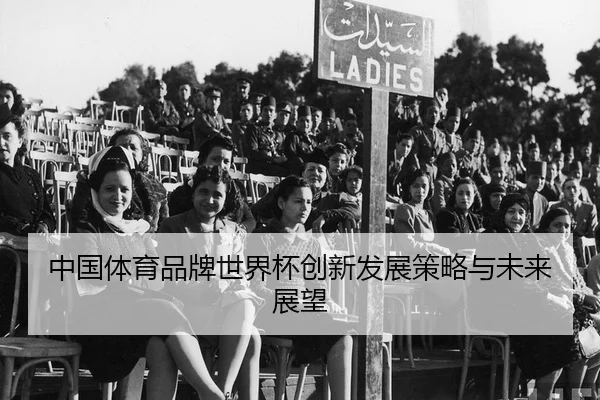 中国体育品牌世界杯创新发展策略与未来展望