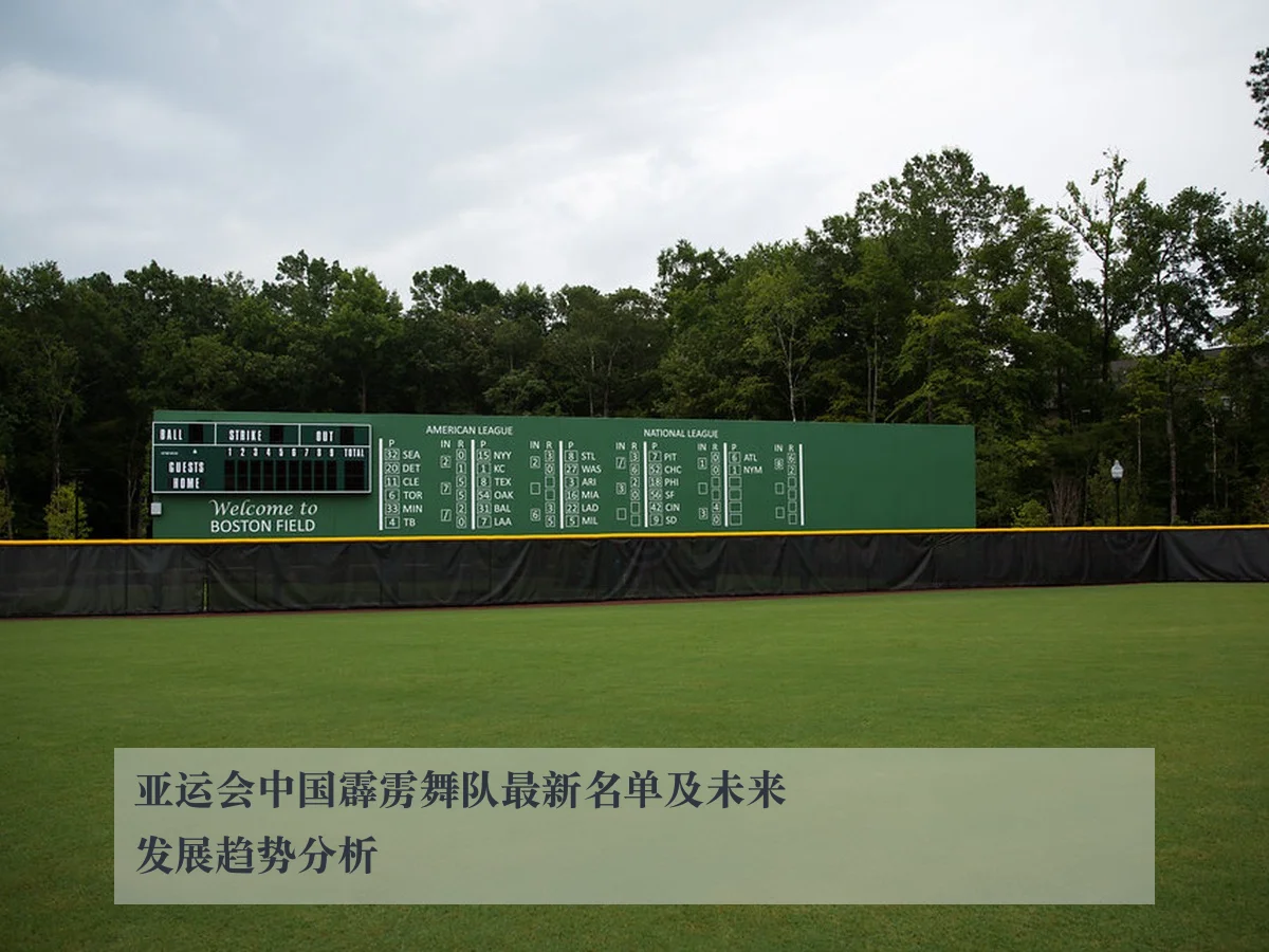 亚运会中国霹雳舞队最新名单及未来发展趋势分析